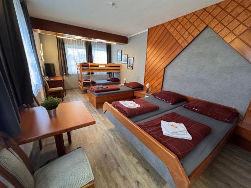 Austria Traveller Hotel Lenzing - Housity