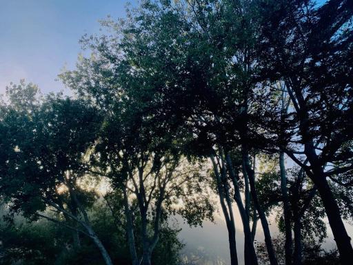 Constantia Calm - Housity