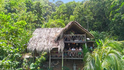 Finca La Selvita Chocolate experience - Housity