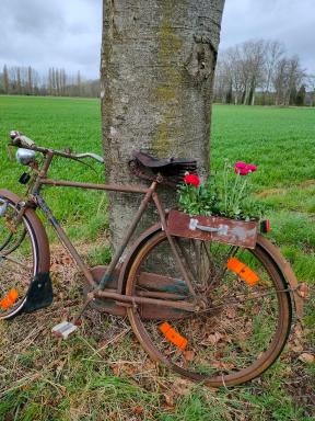 B&B De Gitane - Housity