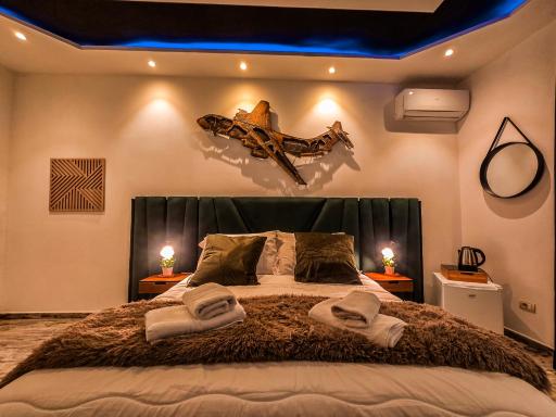 Dream & Fly - Housity