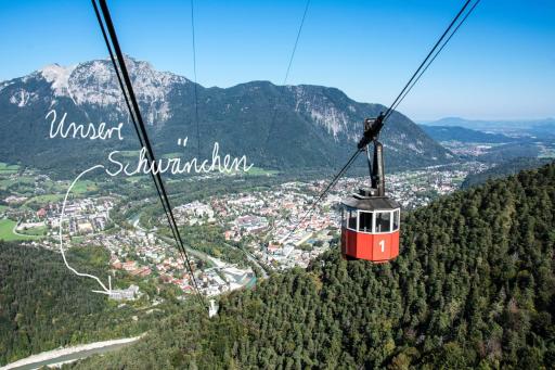 Alpenschwänchen 2 - Salzschwänchen - Hizvo