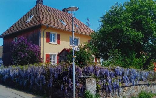 Haus Oskar - Housity