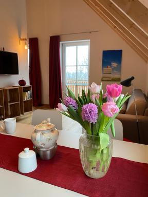Ferienwohnung Apfelkrönchen - Housity