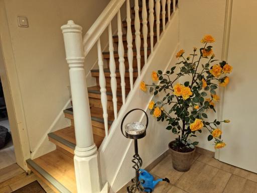 Haus Lauterberg 4 - Das Urlaubsdomizil im Harz - Housity