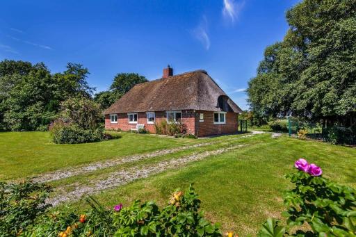 Ferienhaus Reetsommer - Housity