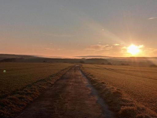 Ferienwohnung Otto - Housity
