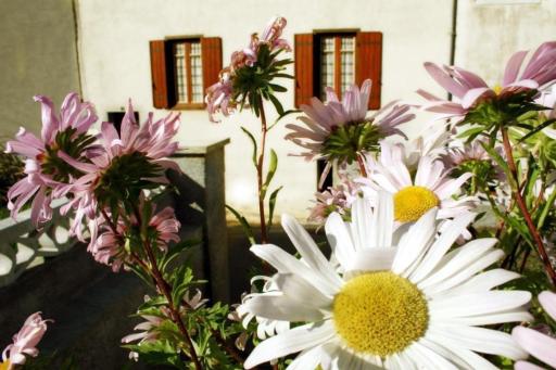 Le gite de cals haut - Housity