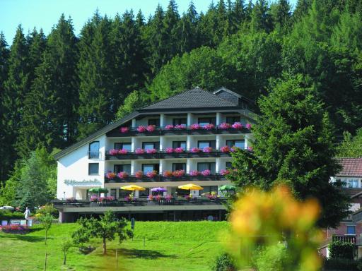 Pfeifles Höhenhotel - Housity