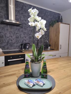 Apartament Pod Orzechem - Housity