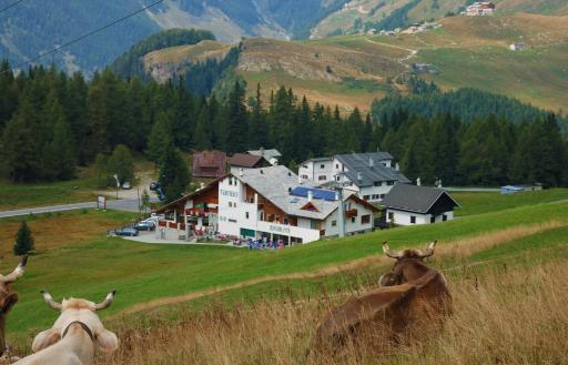 Hotel Tambò - Housity
