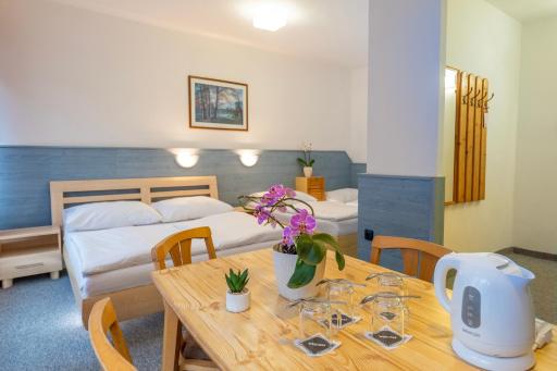 Sport Hotel Gejzirpark - Housity