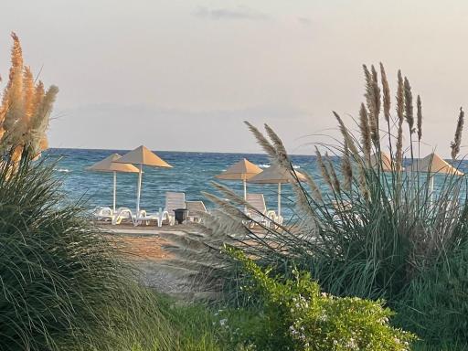 Enjoy Apartment By the Sea - Housity