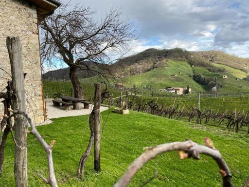 B&B Terre Di Bea - Housity