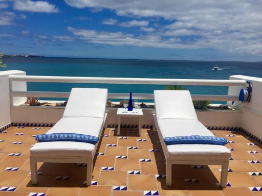 Caballito de mar seahorse - Housity