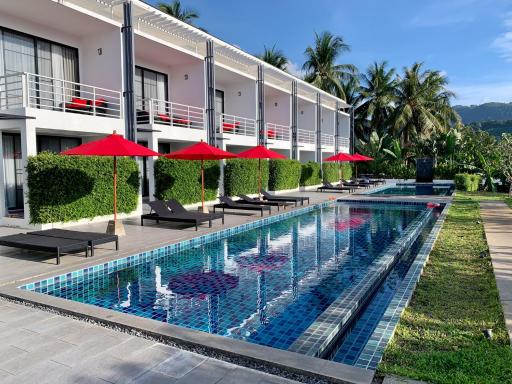 The Blue Lotus - Housity