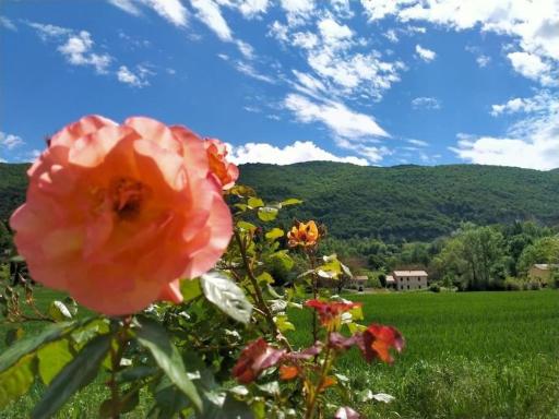 Chambre à 30km des 1ères stations de ski - Housity