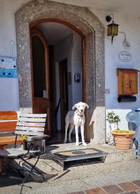 Pension Maria - Housity