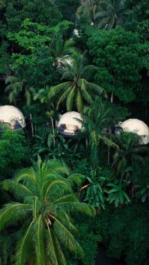 Lintang Luku Tent Resort - Housity