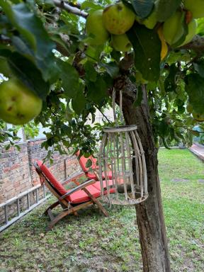 HAUS RHEINLEBEN - Housity