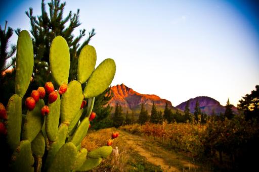 Modderkloof Farm Accommodation - Housity