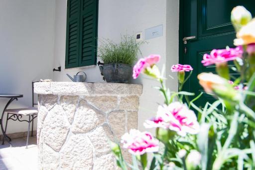Apartments Petrinic Crnogaj - Housity