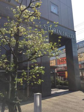 Suzuka Storia Hotel - Housity