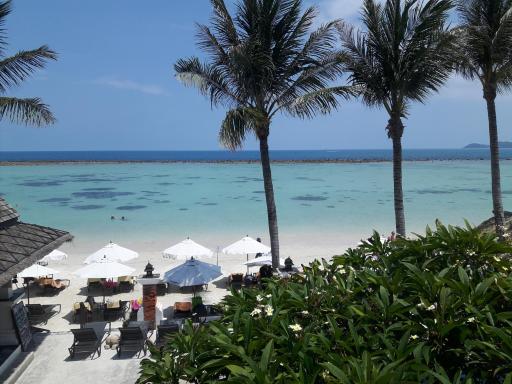 Dara Samui Beach Resort Adult Only - Housity