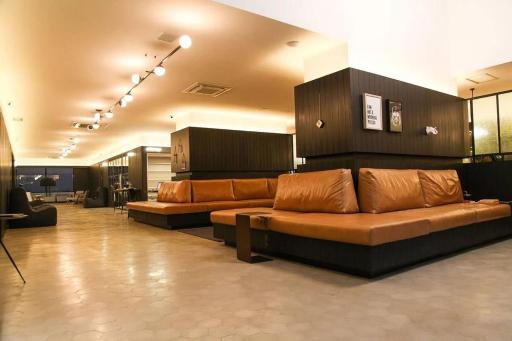 Housi Bela Cintra - Superior - Housity