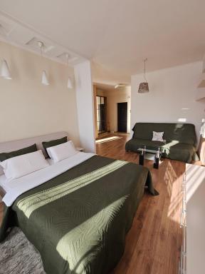 Stefan cel Mare 1 studio - Housity