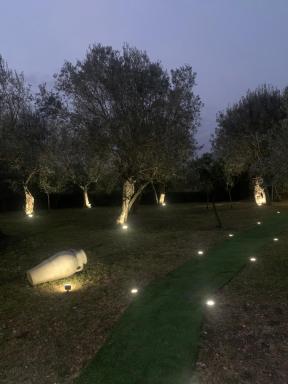 Tenuta degli Uliveti - Housity