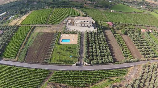 Feudo Vagliasindi -Wine Experience- - Housity