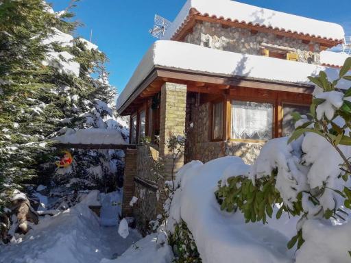 Livadi Chalet Arachova The perfect family vacation - Housity
