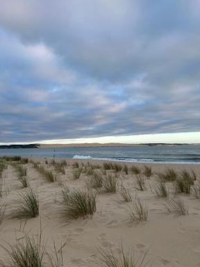 T1bis dans les dunes du Cap Ferret - Housity