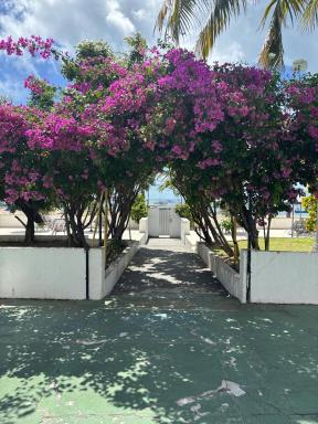 Apto 3 quartos pé na areia Prox de Recife - Housity