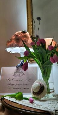 La Casina di Naty - Housity