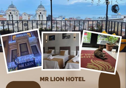Mr Lion Kumkapı Otel - Housity
