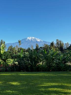 Shose Chalets, Farmhouse & Campsite - Housity