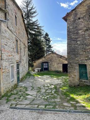 SO MAGIC - La casa nel bosco - Housity