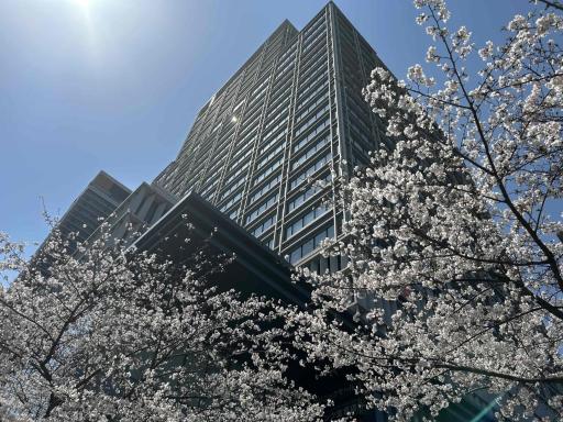 Hotel Monterey Grasmere Osaka - Housity