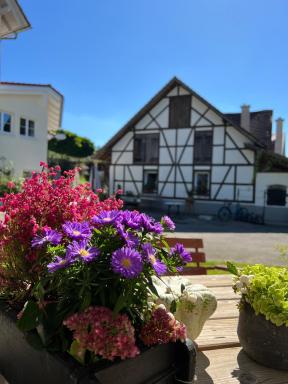 Café Canapé Ravensburg - nahe Bodensee & Messe - Housity