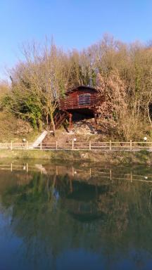 ANIMA MUNDI case SULL'ALBERO - Housity