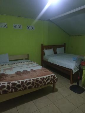 Oke rinjani - Housity