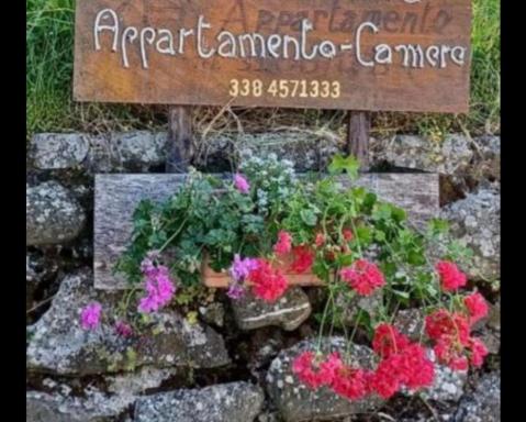 LE PIANACCE - Appartamento per vacanze - Housity