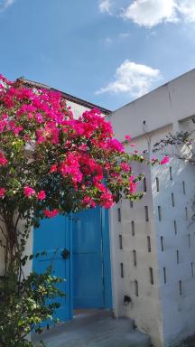 Wayang BnB - Housity