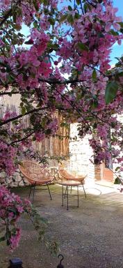 Apartamento Bajo Los Arcos - Housity