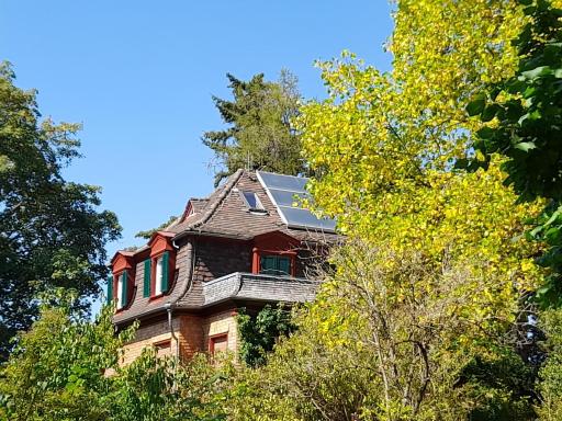 Ferienwohnung Unterm Tulpenbaum - Housity