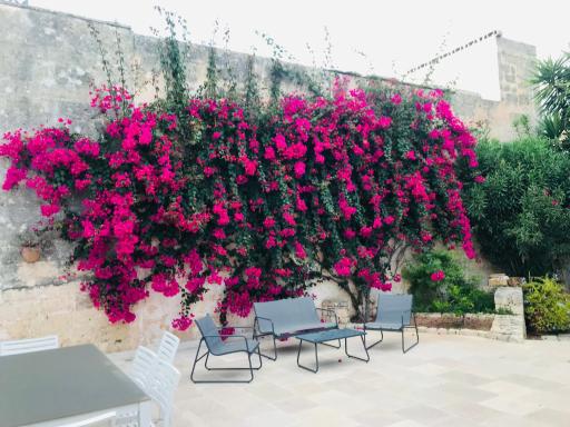 Salento - Casa Pietrastella - Housity