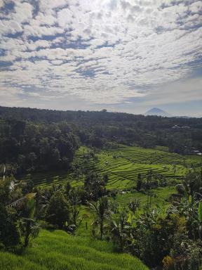 Gunza Bed and Breakfast - Housity