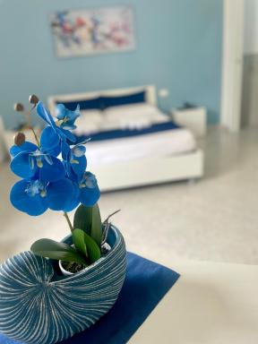 B&B La CYCAS - Housity